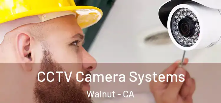 CCTV Camera Systems Walnut - CA
