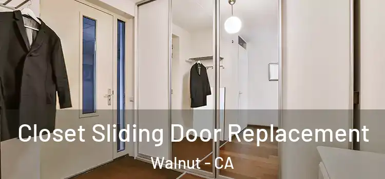 Closet Sliding Door Replacement Walnut - CA