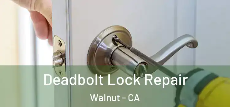 Deadbolt Lock Repair Walnut - CA