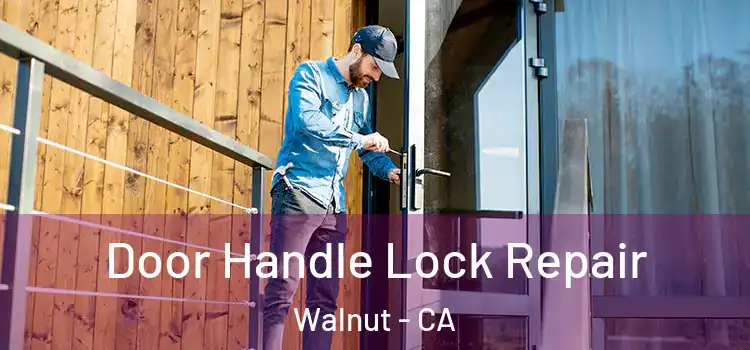 Door Handle Lock Repair Walnut - CA