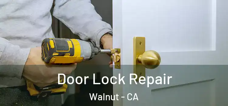 Door Lock Repair Walnut - CA