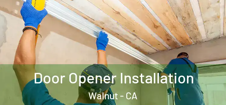Door Opener Installation Walnut - CA