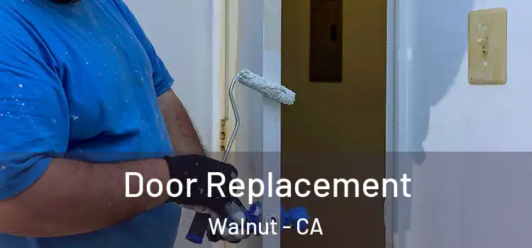Door Replacement Walnut - CA