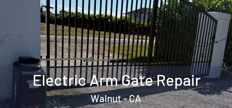 Electric Arm Gate Repair Walnut - CA