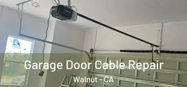  Garage Door Cable Repair Walnut - CA