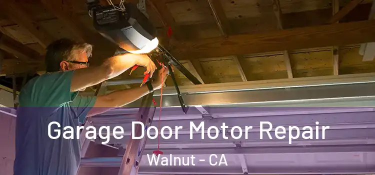  Garage Door Motor Repair Walnut - CA
