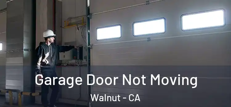 Garage Door Not Moving Walnut - CA