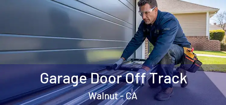 Garage Door Off Track Walnut - CA