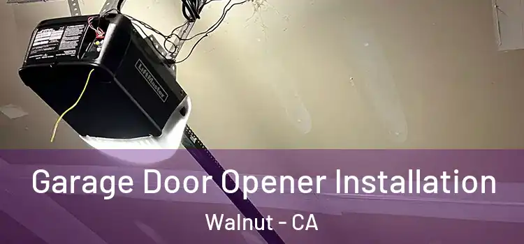  Garage Door Opener Installation Walnut - CA