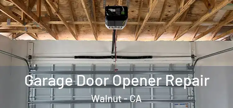  Garage Door Opener Repair Walnut - CA