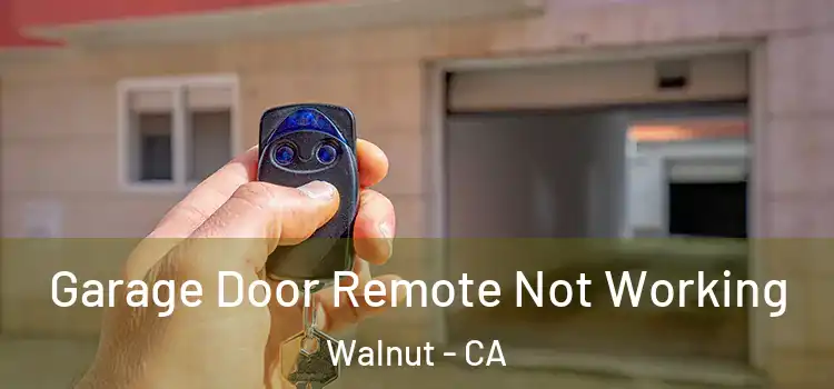  Garage Door Remote Not Working Walnut - CA