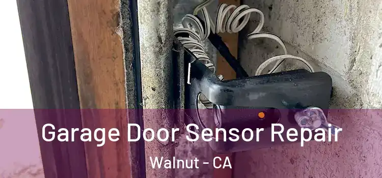 Garage Door Sensor Repair Walnut - CA