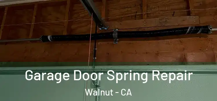  Garage Door Spring Repair Walnut - CA