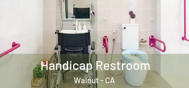 Handicap Restroom Walnut - CA