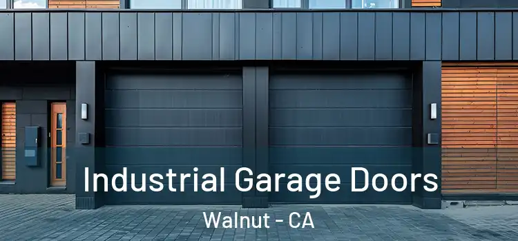  Industrial Garage Doors Walnut - CA