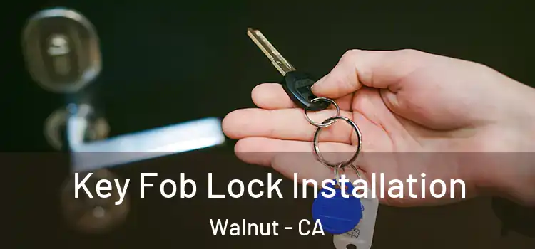 Key Fob Lock Installation Walnut - CA