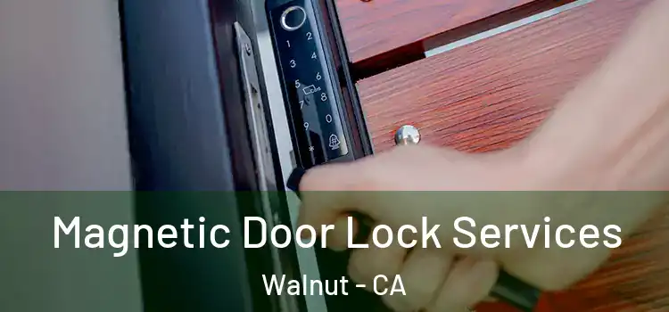 Magnetic Door Lock Services Walnut - CA