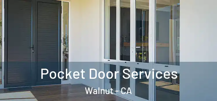 Pocket Door Services Walnut - CA