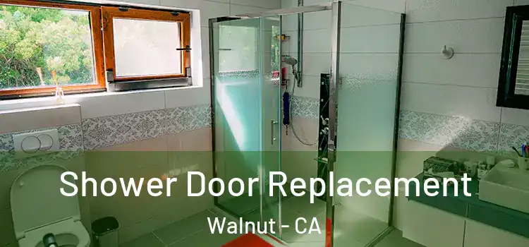 Shower Door Replacement Walnut - CA