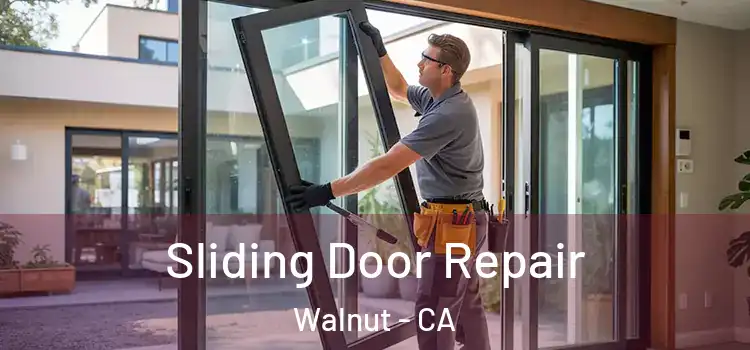 Sliding Door Repair Walnut - CA