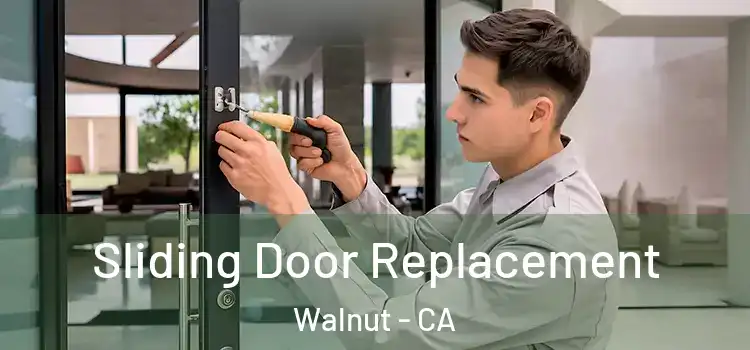  Sliding Door Replacement Walnut - CA