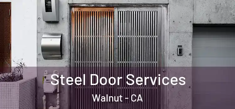 Steel Door Services Walnut - CA